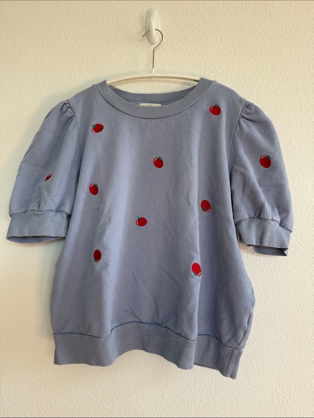 Anthropologie Puff-Sleeve Sweatshirt with Embroidery